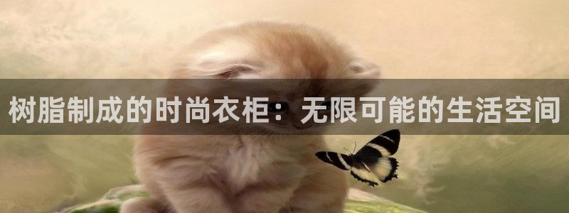 摩登6上7O667