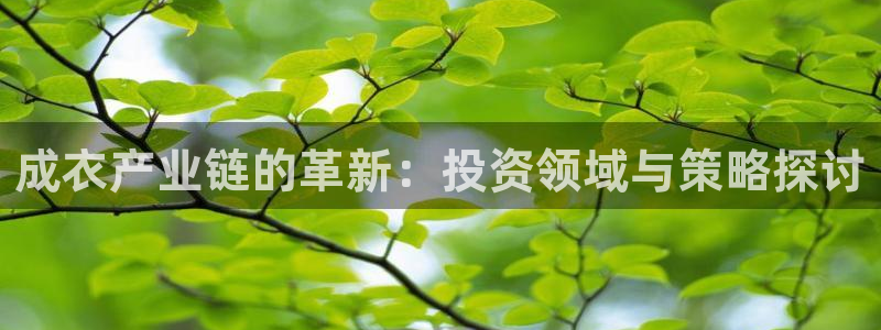 摩登4前7O667