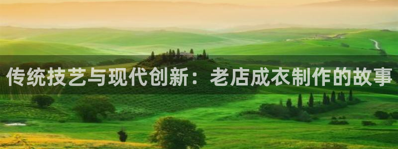 摩登7网站排名
