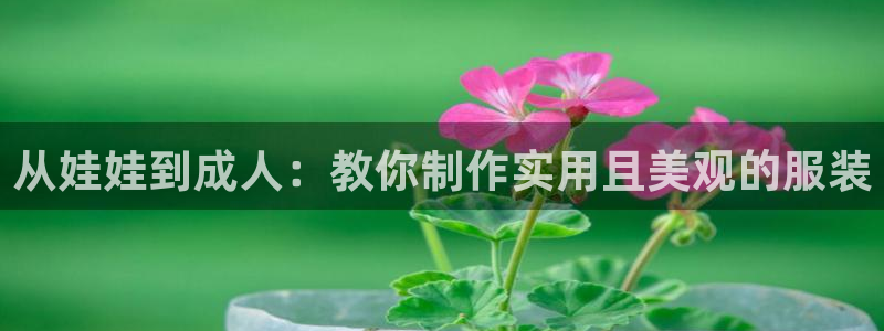 摩登7排名