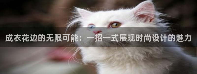 摩登7泽333OO