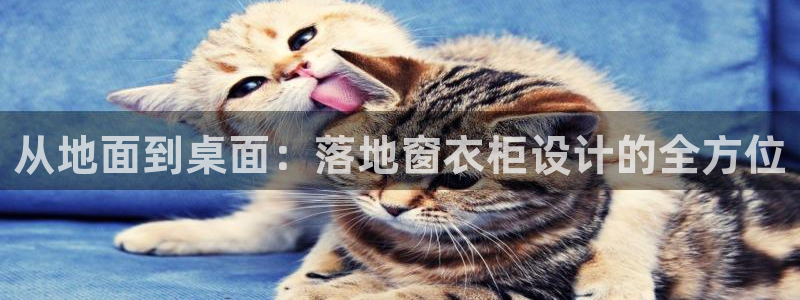 精品摩登7