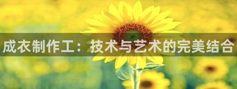 摩登5吕7O667
