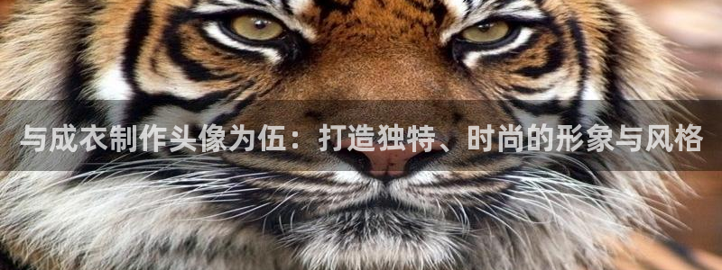 猎杰集团摩登7