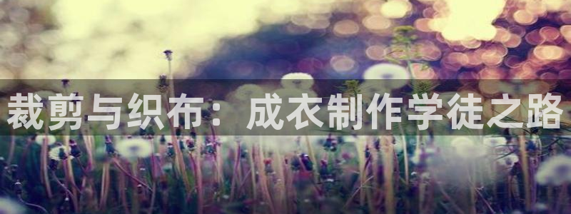 摩登5许7O667