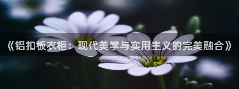 摩登7平台主管