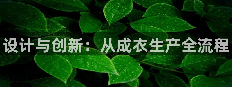 摩登7登陆平台