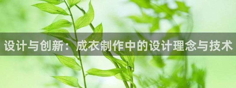 摩登4右7O667