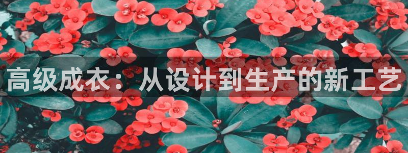摩登6韩这7O667