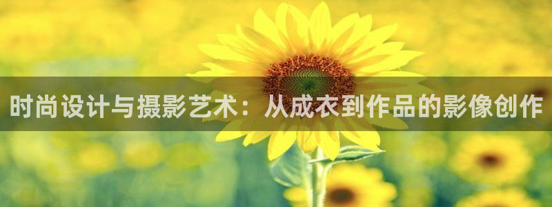 摩登7公司排名