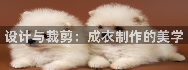 摩登7 1