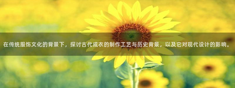 摩登4天7O667