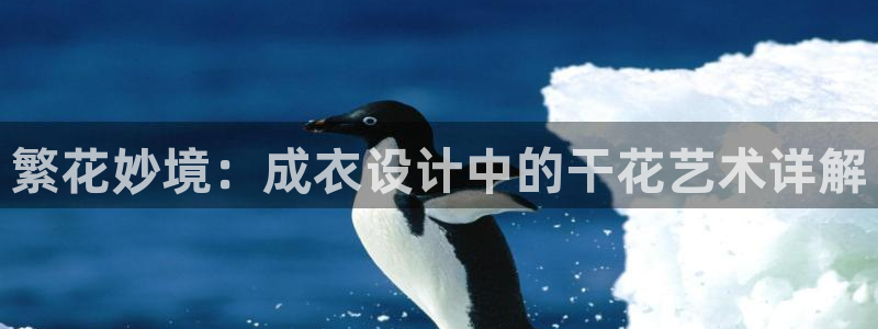 摩登7官网在哪下载