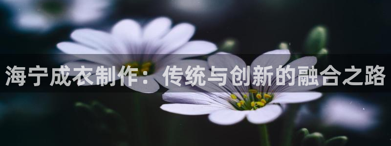 摩登7平台涨7O777