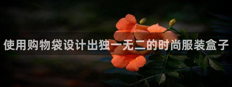 摩登7高管