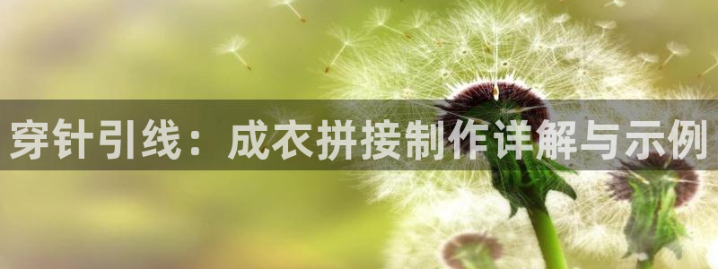 摩登4前7O667