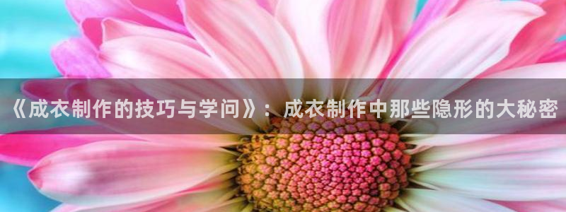 摩登7平台信誉